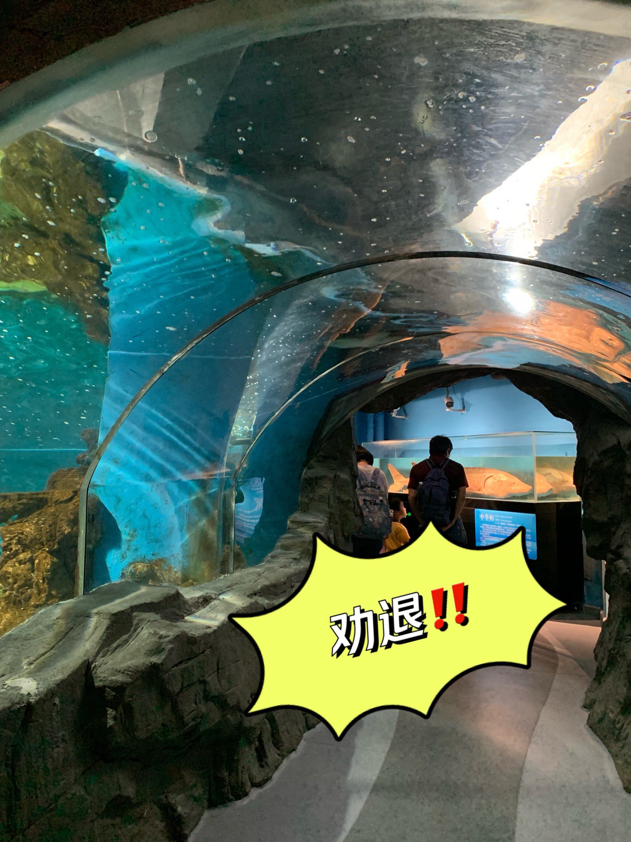 虹桥花鸟水族城图片