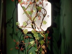 -掌柜的店·河南菜(日月光店)