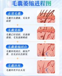 -Bollins波林丝•专研护发中心