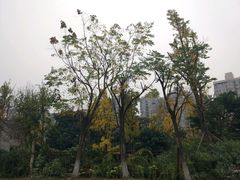 -沙河三洞古桥公园