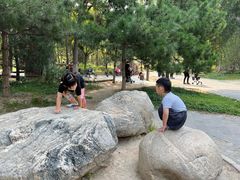 -回龙观体育文化公园