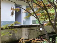 -旗山国家森林公园