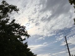 -九里河湿地公园