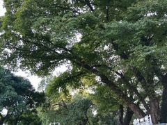 -广州中山纪念堂