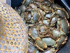 膏蟹-海上驿站渔家菜馆