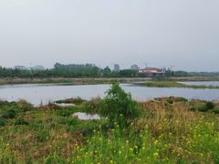 -白鹭湾湿地公园