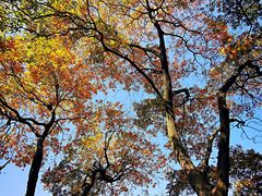 -柳莺湖上·湖景餐厅·江南菜(西湖店)