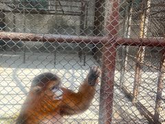 -哈尔滨北方森林动物园