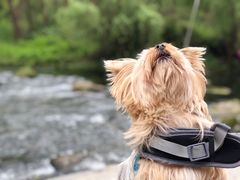 -贵阳市花溪国家城市湿地公园