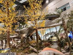 -湖南省地质博物馆