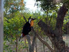 -泉州海丝野生动物世界