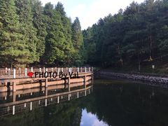 -四明山国家森林公园