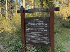 -庐山风景区花径公园