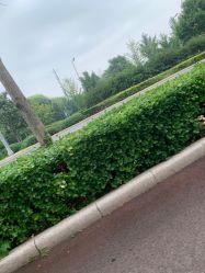 -HEYAN长风荷妍专业脱毛美肤
