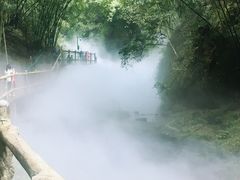 -川西竹海景区