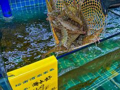 -坛南湾农家乐·海鲜楼·大排档(平潭坛南湾店)
