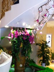 -伽美医疗美容医院·高端抗衰中心