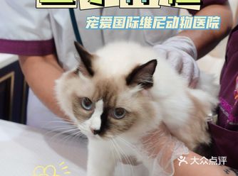 最近想带猫主子体检啦，选了 ️宠爱国际动物医院️
