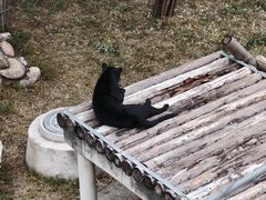 -石家庄市动物园