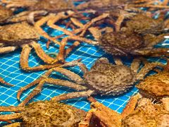 -驻海渔市(置信店)