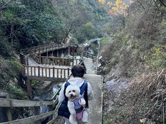 -岳西天峡风景区