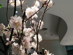 -眉州小吃(石景山店)