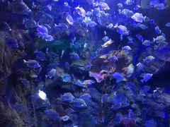 -太平洋海底世界