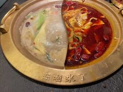 -熊喵来了火锅(四平万达第56分店)