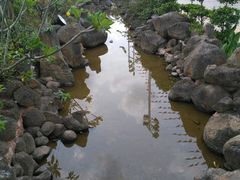 -清水湾3号(东方小周海鲜店)