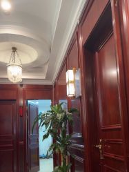 -南京医科大学友谊整形外科医院