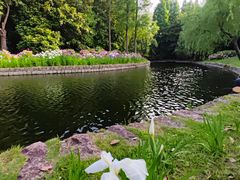 -上海滨江森林公园