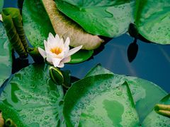 -长春公园(普阳街道)