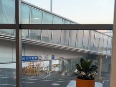 -青岛胶东国际机场