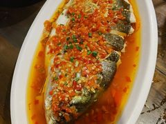 -印象鲵宴·张家界地标美食名片(溪布街店)