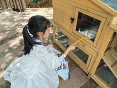 -杭州开元森泊度假乐园