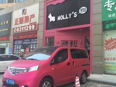 -MOLLY'S萌宠生活馆