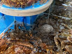 -黑木原精致料理·铁板烧
