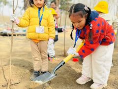 -Thinkfirst幼儿园(CBD双井校区)