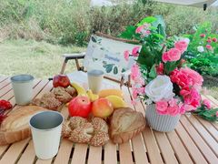 -光明小镇欢乐田园