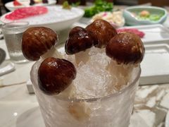 原产地鸡松茸菌-大舜国风· 和牛火锅(绮霞街店)