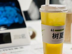 -树夏(锦里店)