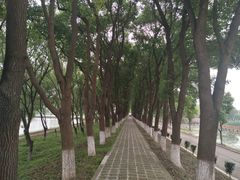 -洪湖生态旅游区