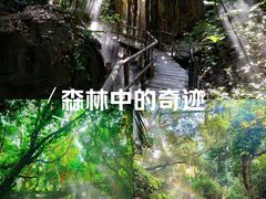 -青青世界