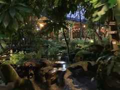 -绿光森林餐厅