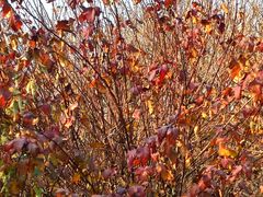 -长春公园(普阳街道)