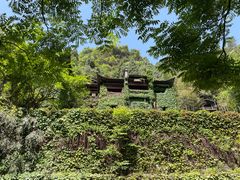 -三峡人家风景区