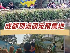 -成都动物园