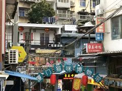 -猫咪博物馆(顶澳仔猫街店)