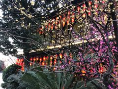 -钦善斋(武侯祠店)