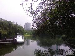 -晓港公园